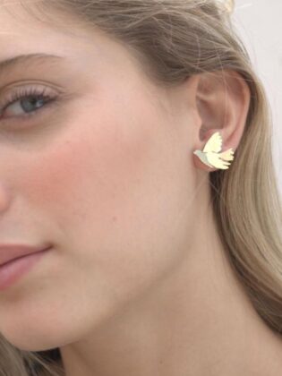 עגילי ציפור